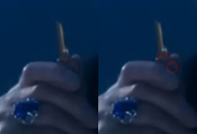 leocor1.png leocor1.png