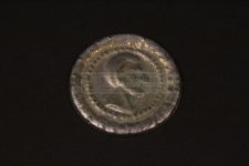 akanec1371.jpg