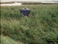 power of kroll 02.jpg