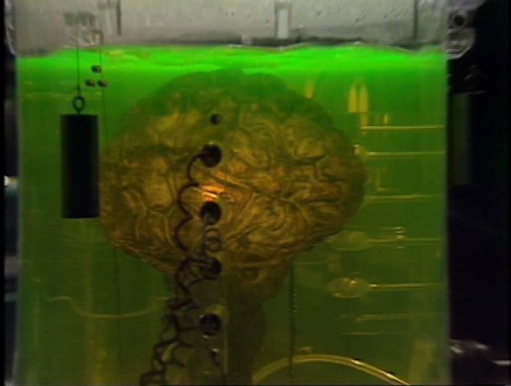 Brain of Morbius 009.jpg