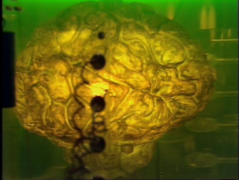 Brain of Morbius 010.jpg