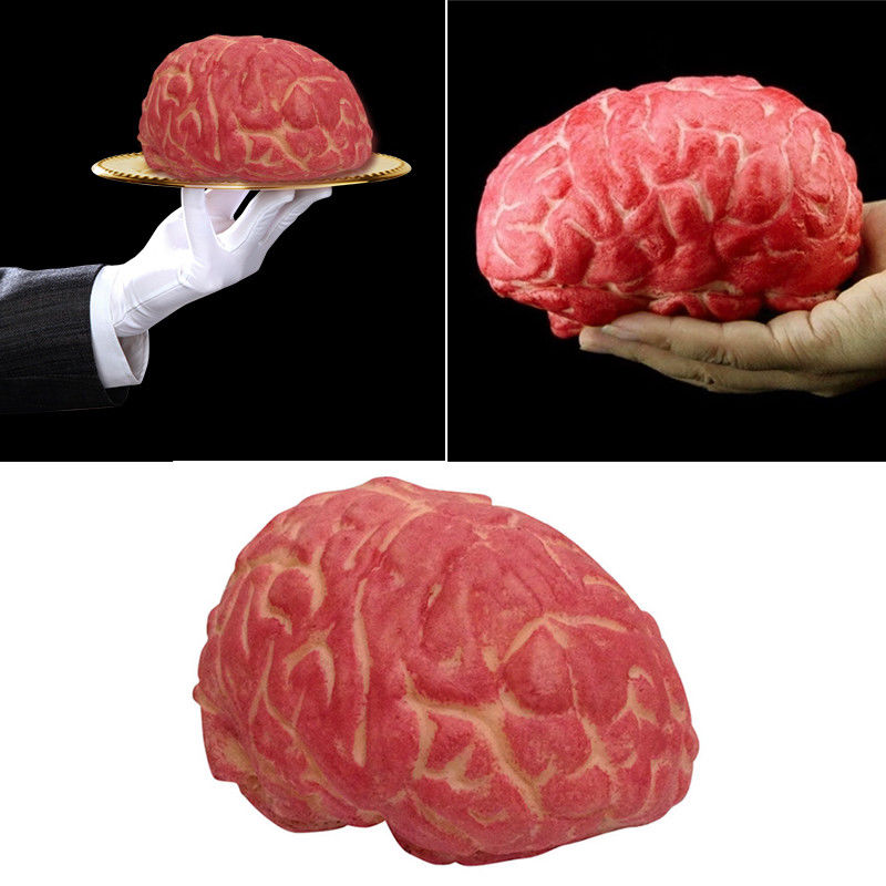 brain 01.jpg