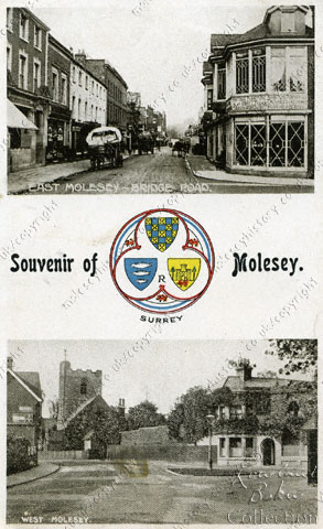 Souvenir_of_Molesey_postcard-1930s.jpg