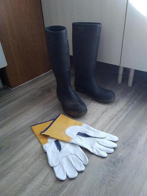 boots n gloves.jpg