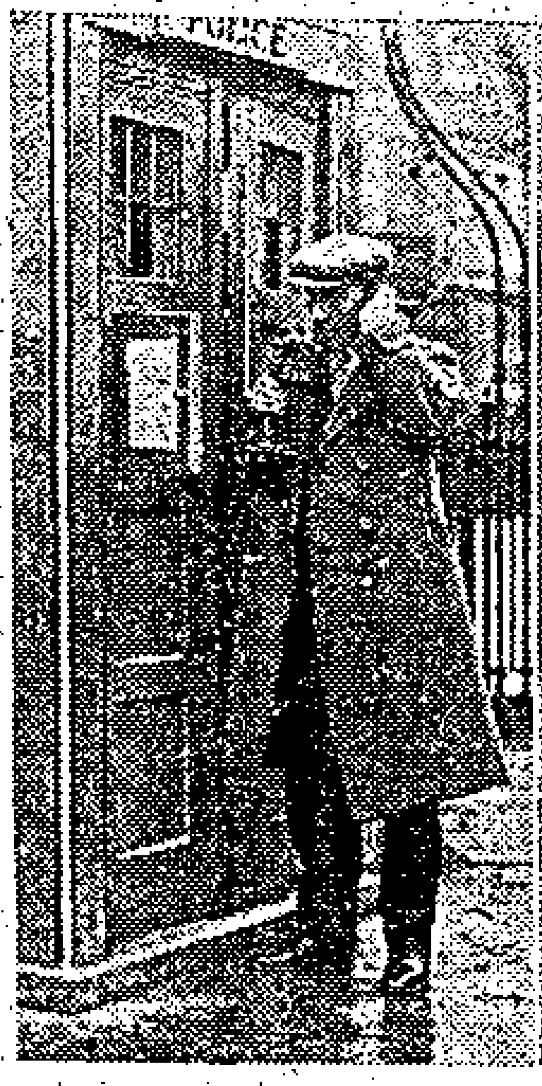 DailyExpress--30-Nov-1929--pg11_cropped_to_Box_V15_only.png