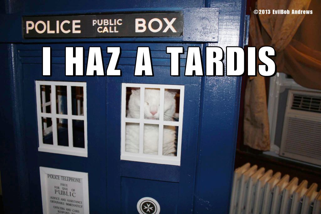 I HAZ A TARDIS.jpg